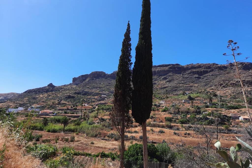 Casa Rural Los Cipreses. Cercados De Arana San Bartolomé Екстериор снимка
