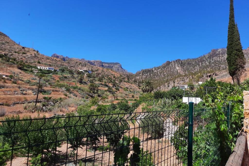 Casa Rural Los Cipreses. Cercados De Arana San Bartolomé Екстериор снимка